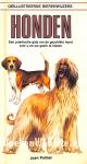Honden