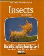 Insects & Spiders