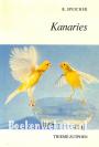 Kanaries