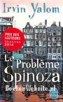 Le Probleme Spinoza