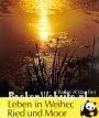 Leben in Weiher, Ried und Moor