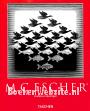 M.C.Escher, grafiek en tekeningen