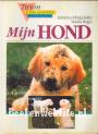 Mijn hond