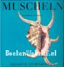 Muscheln