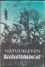 Natuurleven in Nederland