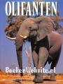 Olifanten