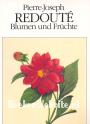 Pierre-Joseph Redoute Blumen und Früchte