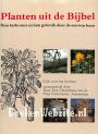 Planten uit de Bijbel