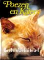 Poezen en katers