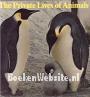 The Private Lives of Animals