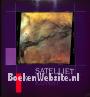 Satelliet beeldende kunst
