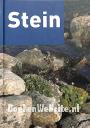 Stein