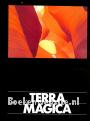 Terra Magica