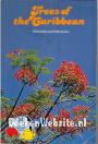 Trees of the Caribbean