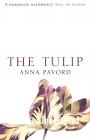The Tulip
