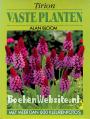 Vaste planten
