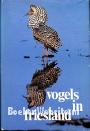 Vogels in Friesland I