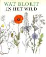 Wat bloeit in het wild
