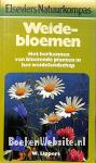 Weidebloemen