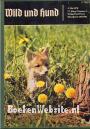 Wild und Hund 1970