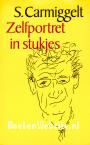 Zelfportret in stukjes