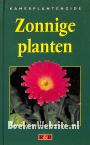 Zonnige planten