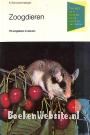 Zoogdieren